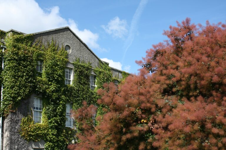 An exterior photo of Maynooth University